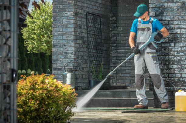 Best Graffiti Removal  in Seville, FL